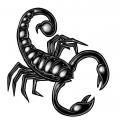 Петух-Скорпион женщина: характеристика, сильные и слабые стороны